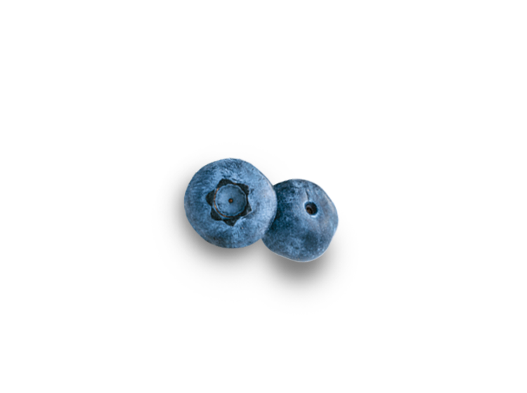 Blueberries