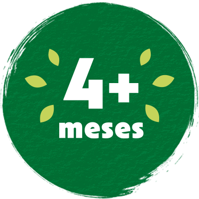 4+ meses