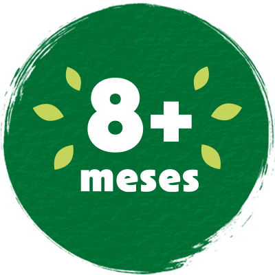 8+ meses