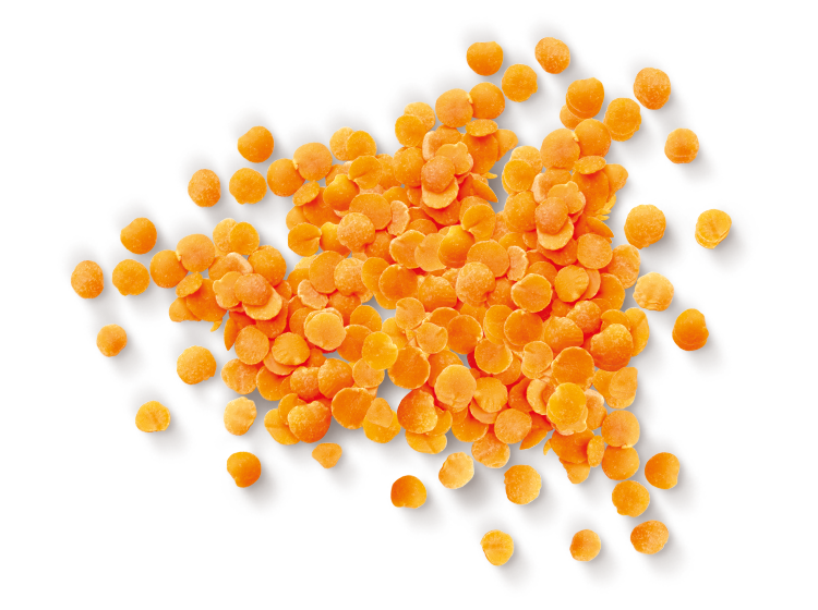 Lentils