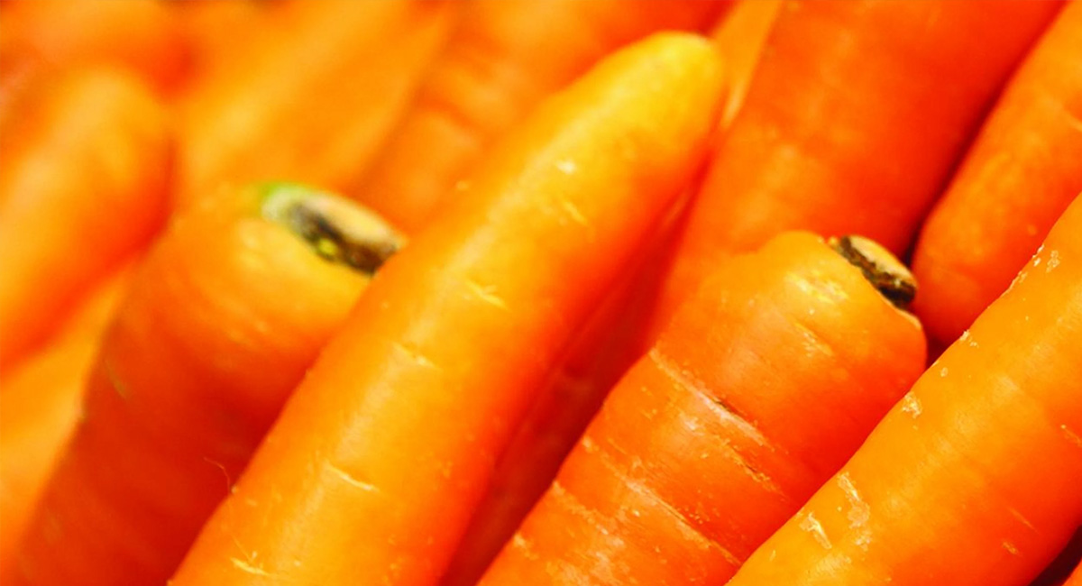 A introdução dos legumes a partir dos 4/5 meses